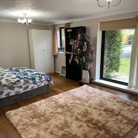 Stunning 2 Bedroom With Garden Sleep 6 London Exteriör bild